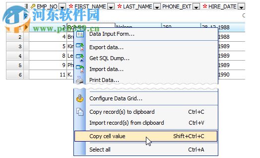 firebird数据库管理工具怎么用?,哪个好 第1张 firebird数据库管理工具怎么用?,哪个好 第1张