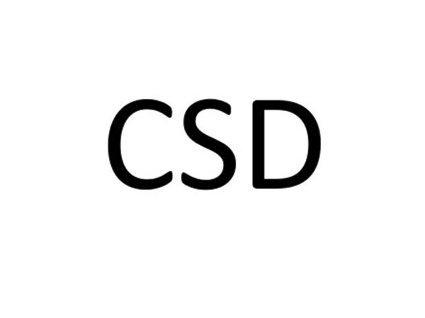 CSD配置的正确设置方法是什么?,CSD配置怎么设置方法 第1张 CSD配置的正确设置方法是什么?,CSD配置怎么设置方法 第1张