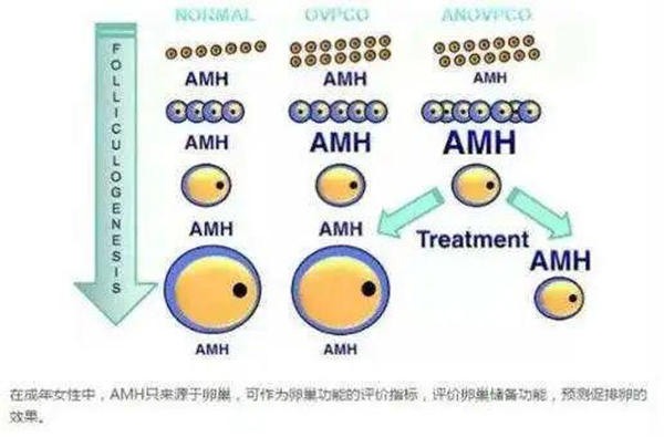 amh配置怎么设置,amh面板配置详解? 第2张 amh配置怎么设置,amh面板配置详解? 第2张