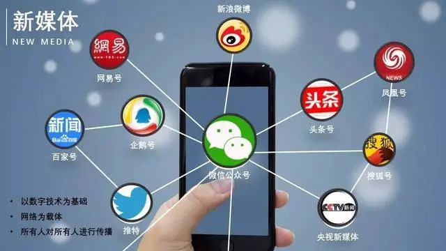 公众号还是域名?哪个在品牌建设与网络影响力上更为关键? 第2张 公众号还是域名?哪个在品牌建设与网络影响力上更为关键? 第2张