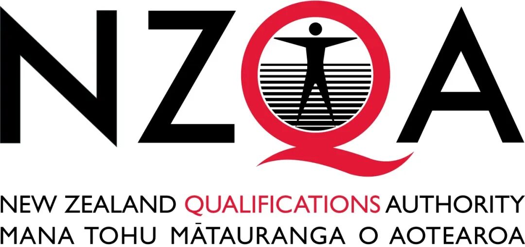 nz域名是什么？新西兰国家域名注册费用及申请流程详解 第2张