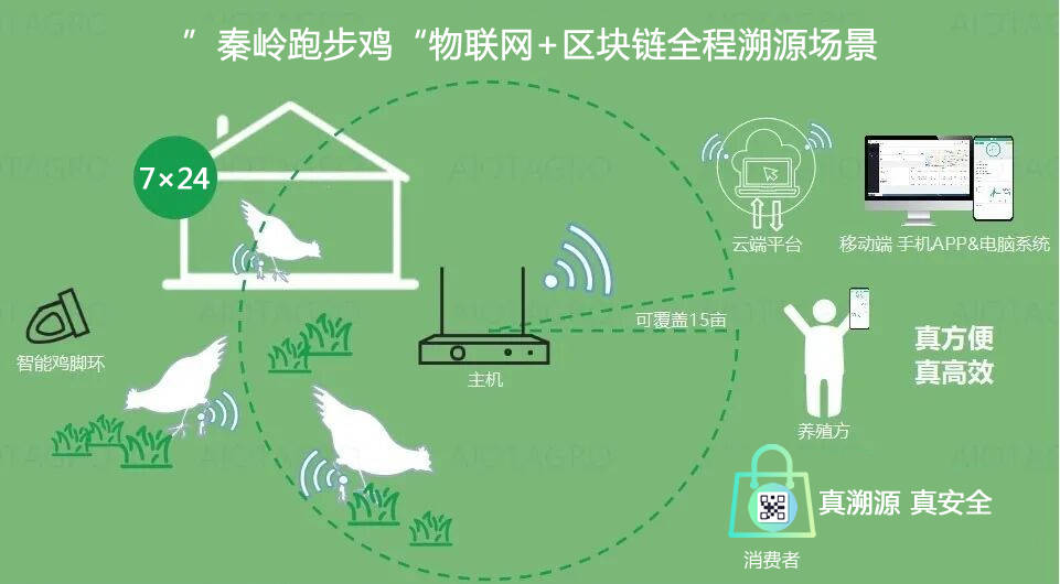 物联网设备区块链追踪技术真的可靠吗,区块链溯源技术原理 第3张 物联网设备区块链追踪技术真的可靠吗,区块链溯源技术原理 第3张