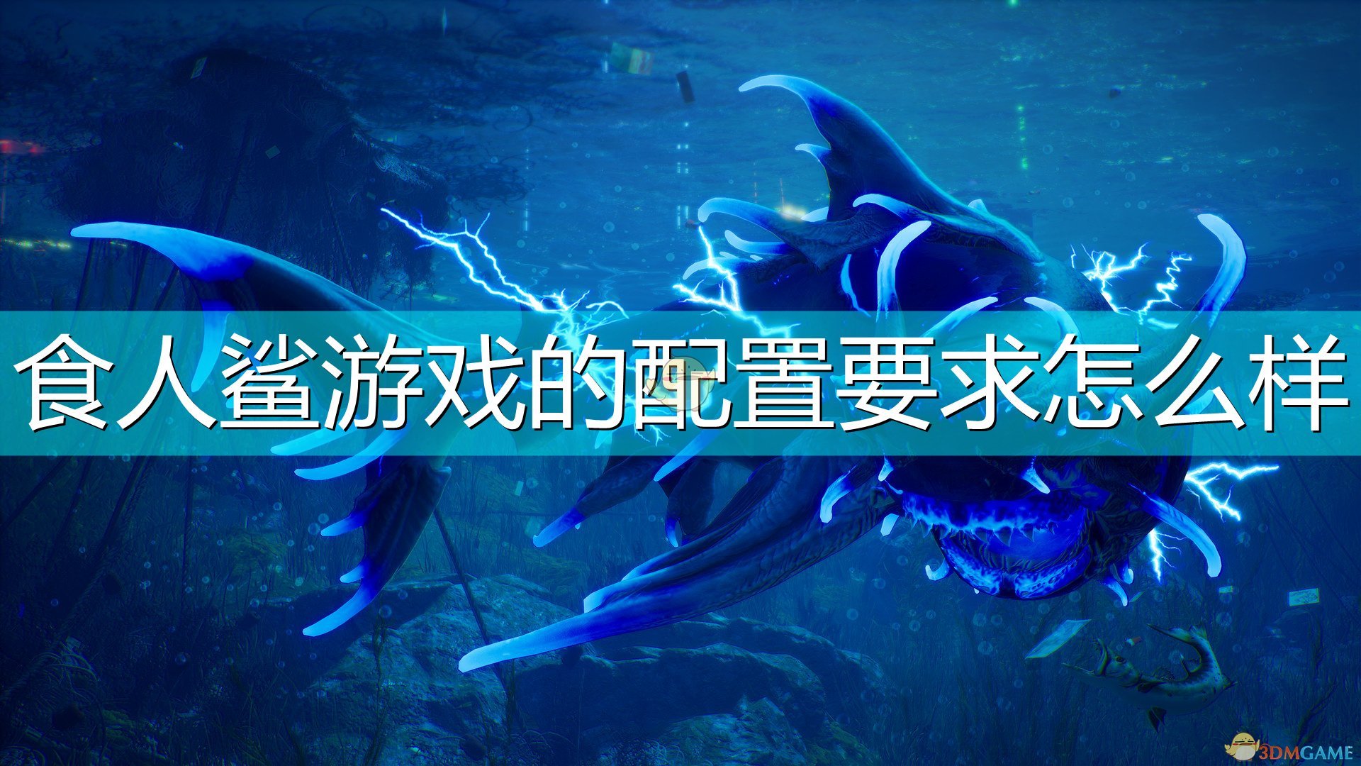 鲨鱼配置游戏性能怎么样?鲨鱼配置性价比高值得买吗 第3张 鲨鱼配置游戏性能怎么样?鲨鱼配置性价比高值得买吗 第3张