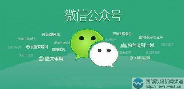 微信域名案 第1张 微信域名案 第1张