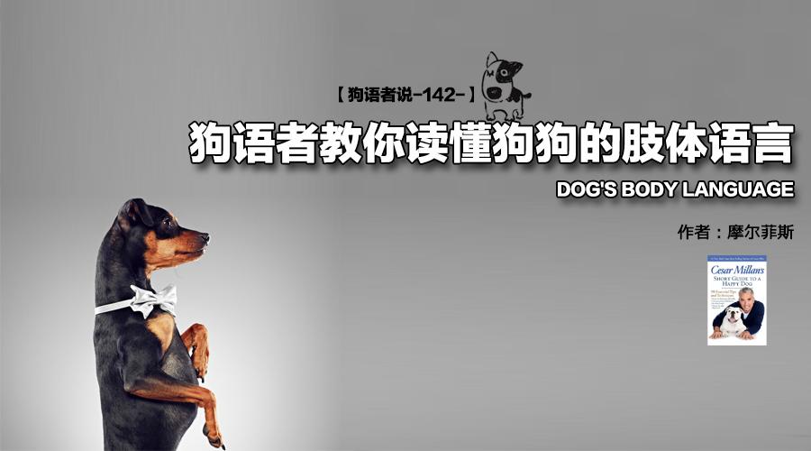 狗对语言处理 第1张 狗对语言处理 第1张