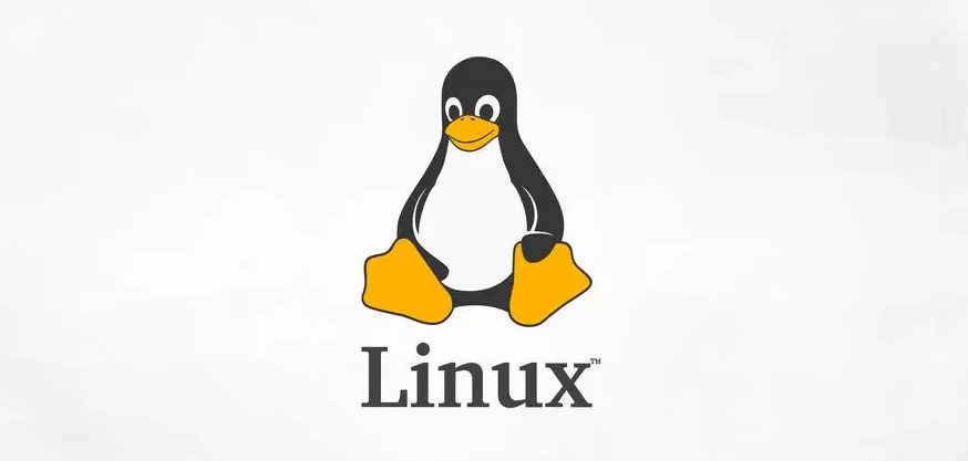 在linux中如何关闭行号