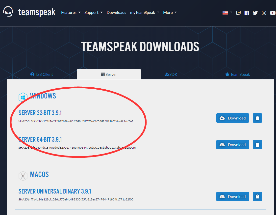 Teamspeak 3服务器为何如此受欢迎?揭秘其独特功能和优势之谜? 第2张 Teamspeak 3服务器为何如此受欢迎?揭秘其独特功能和优势之谜? 第2张