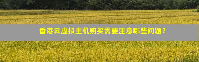 香港虚拟主机购买步骤全攻略,新手必看! 第1张 香港虚拟主机购买步骤全攻略,新手必看! 第1张