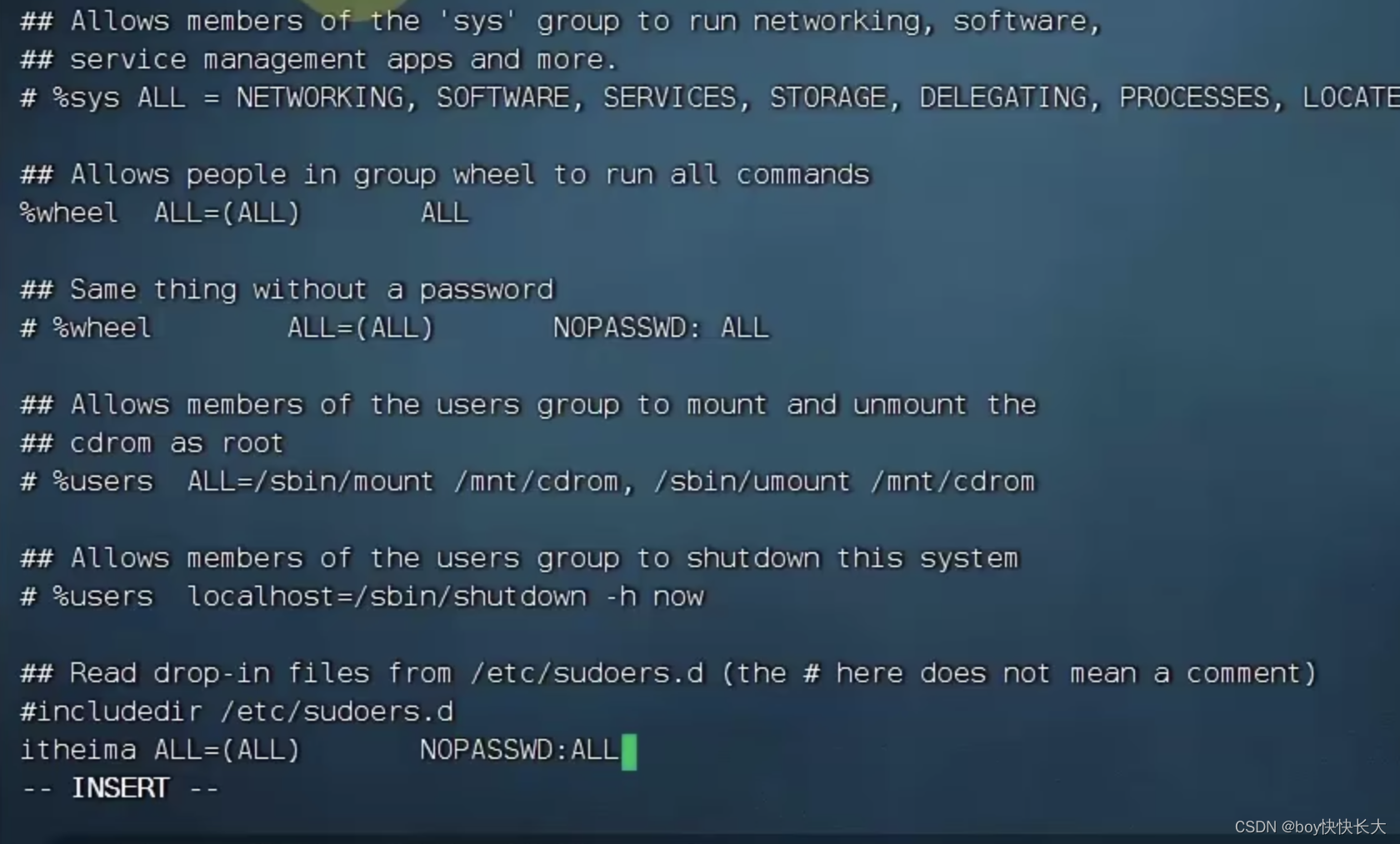 如何在Linux中安全使用root权限？