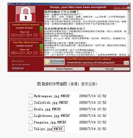 索要病度的域名是什么?,索要病度域名怎么查 第1张 索要病度的域名是什么?,索要病度域名怎么查 第1张