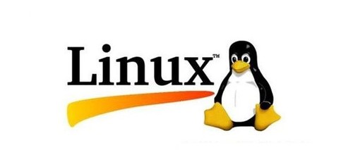 Linux服务器面板哪个品牌对新手最友好且安全? 第2张 Linux服务器面板哪个品牌对新手最友好且安全? 第2张