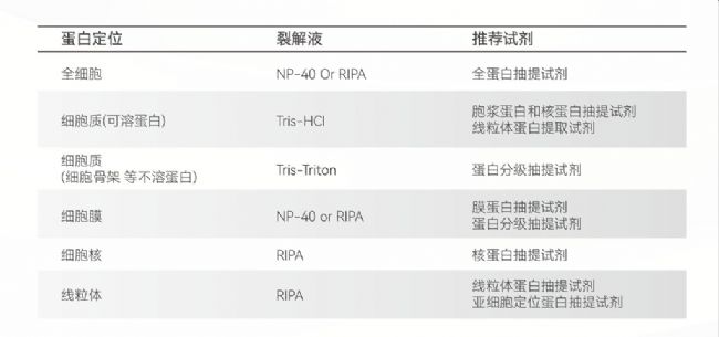 WB配置怎么设置才能生效?,WB配置设置方法 第3张 WB配置怎么设置才能生效?,WB配置设置方法 第3张