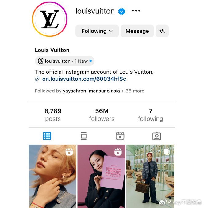 lv域名注册需要什么条件?lv域名在哪注册 第3张 lv域名注册需要什么条件?lv域名在哪注册 第3张