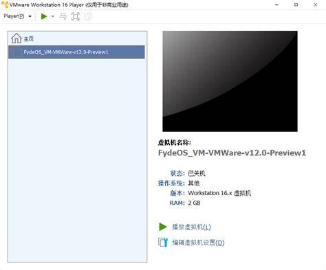 虚拟机真能流畅运行3A大作？ 第3张