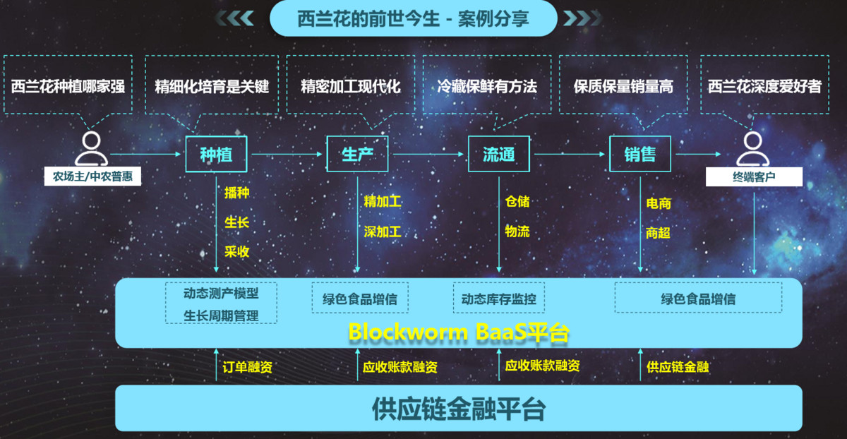 区块链仓单应用如何落地?互联网区块链仓单应用客户案例 第1张 区块链仓单应用如何落地?互联网区块链仓单应用客户案例 第1张