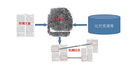 互联网数据指纹上链方案是什么？数据指纹上链技术原理