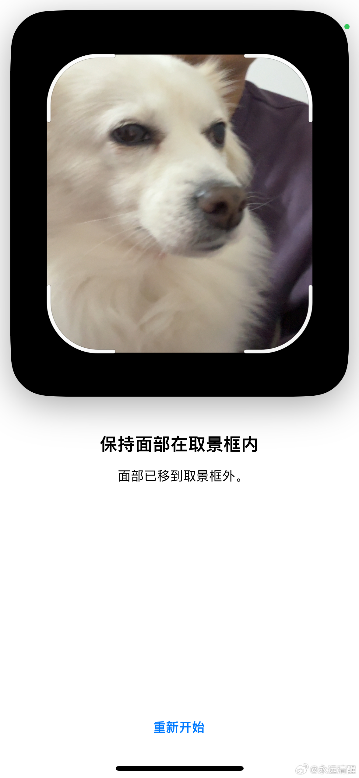 狗图像识别软件哪个好用? 第3张 狗图像识别软件哪个好用? 第3张
