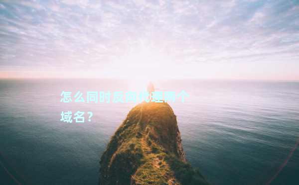 如何轻松获取并设置反向代理域名?揭秘高效技巧! 第2张 如何轻松获取并设置反向代理域名?揭秘高效技巧! 第2张