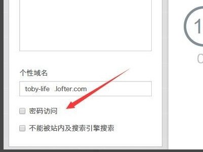 Lofter怎么绑定个人域名？Lofter域名绑定设置与自定义域名教程 第1张