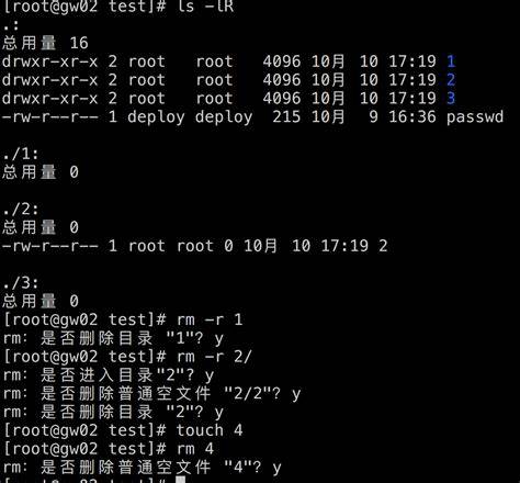 Linux如何用rm -rf删除文件夹? 第3张 Linux如何用rm -rf删除文件夹? 第3张
