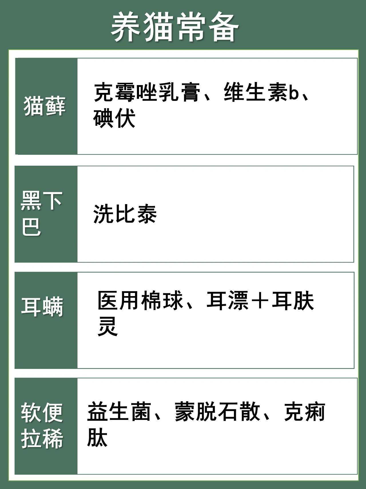 猫咪配置有哪些必备物品?养猫新手需要准备什么? 第2张 猫咪配置有哪些必备物品?养猫新手需要准备什么? 第2张
