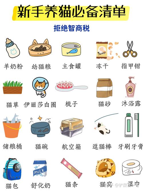 猫咪配置有哪些必备物品?养猫新手需要准备什么? 第1张 猫咪配置有哪些必备物品?养猫新手需要准备什么? 第1张