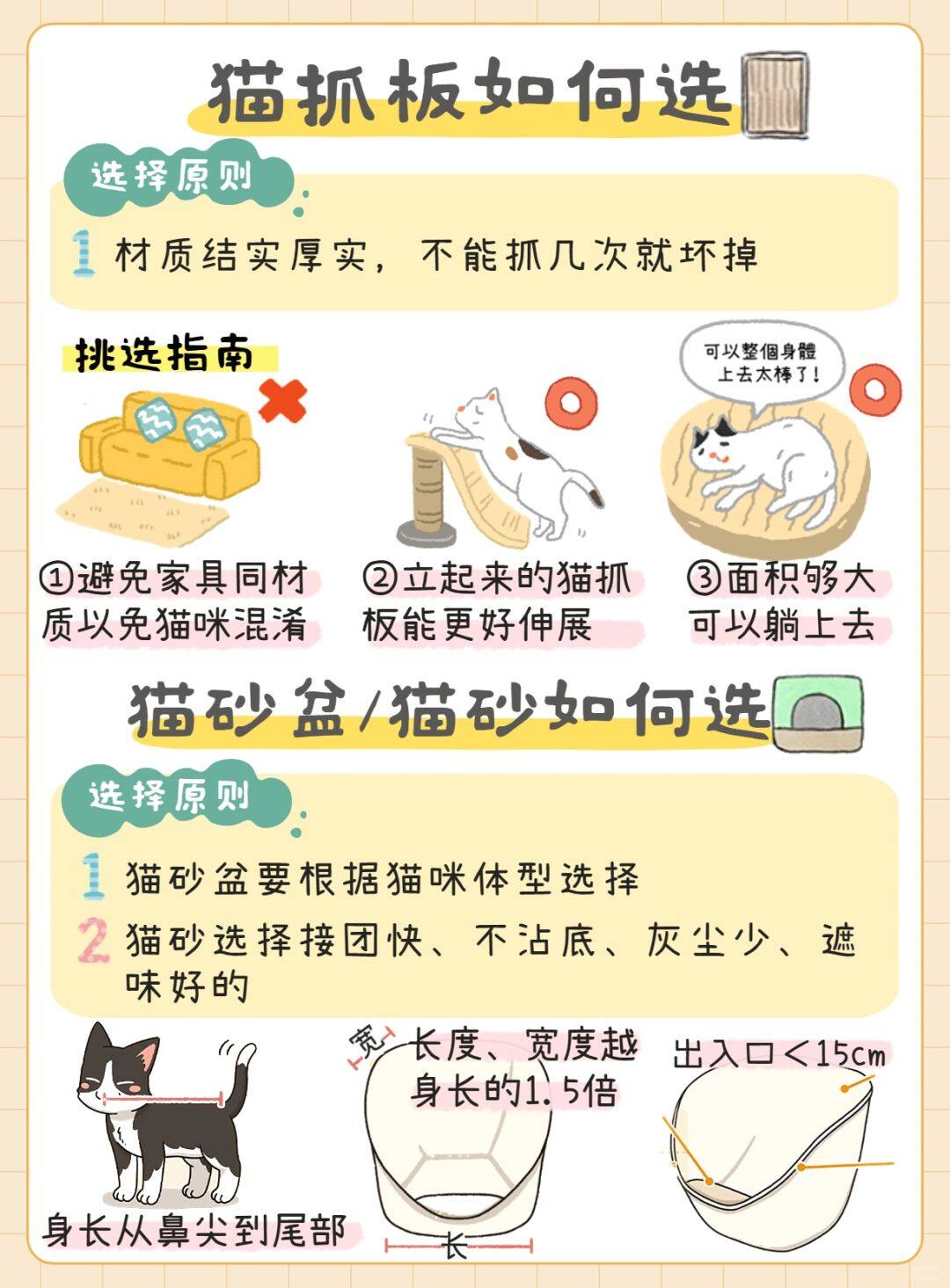 猫咪配置有哪些必备物品?养猫新手需要准备什么? 第3张 猫咪配置有哪些必备物品?养猫新手需要准备什么? 第3张