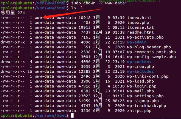 Linux认证服务器如何搭建与管理?新手入门指南 第2张 Linux认证服务器如何搭建与管理?新手入门指南 第2张