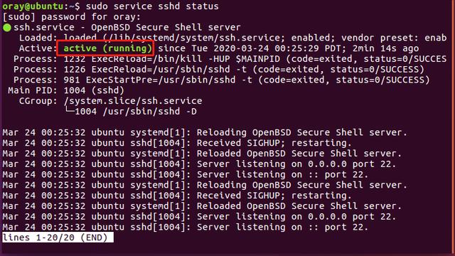 花生壳Linux如何使用? 第1张 花生壳Linux如何使用? 第1张