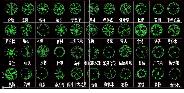 植物配置平面图cad怎么画?,植物配置cad平面图怎么画 第3张 植物配置平面图cad怎么画?,植物配置cad平面图怎么画 第3张