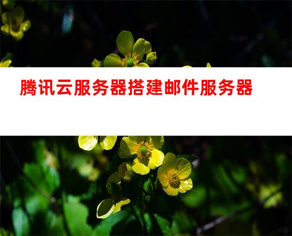 云虚拟主机搭建邮件服务器 第2张 云虚拟主机搭建邮件服务器 第2张