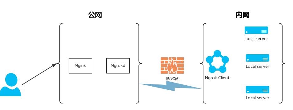 ngrok如何申请固定域名?ngrok自定义域名设置与内网穿透详细教程 第1张 ngrok如何申请固定域名?ngrok自定义域名设置与内网穿透详细教程 第1张