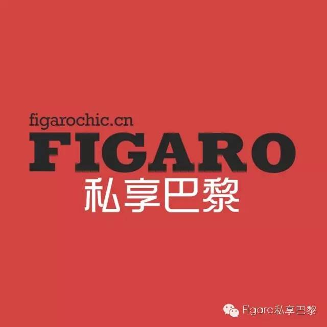 法国复刻虚拟主机品牌有哪些 第1张 法国复刻虚拟主机品牌有哪些 第1张