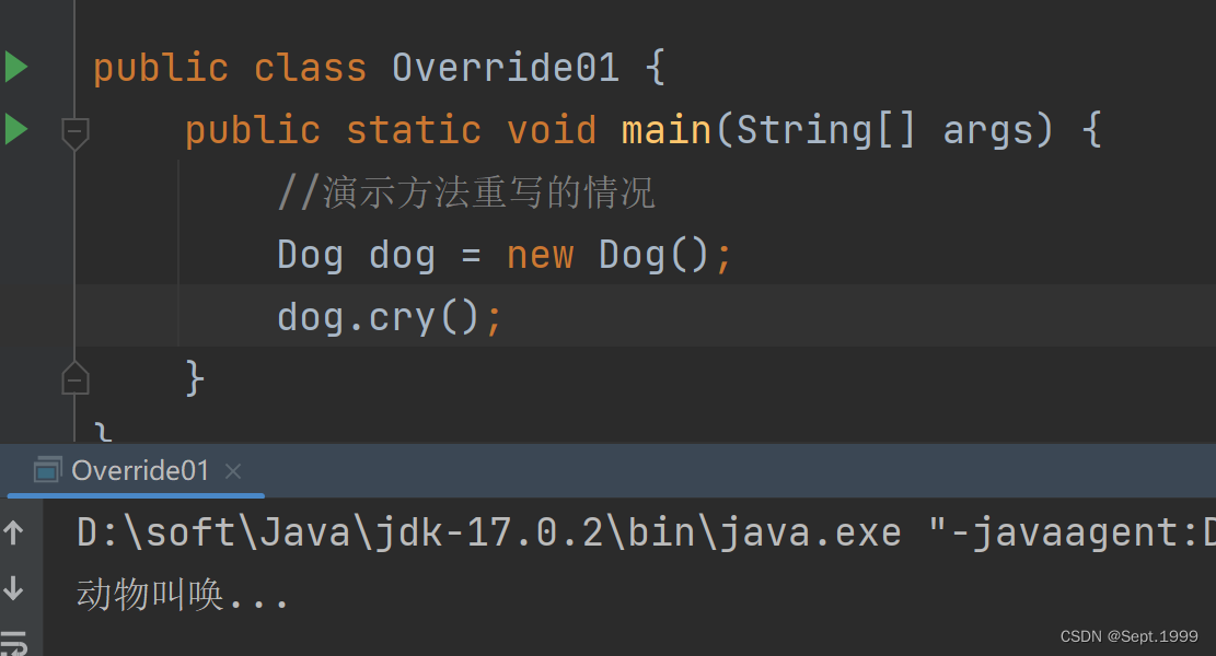 Java中覆盖方法的具体编写规则和注意事项有哪些? 第2张 Java中覆盖方法的具体编写规则和注意事项有哪些? 第2张