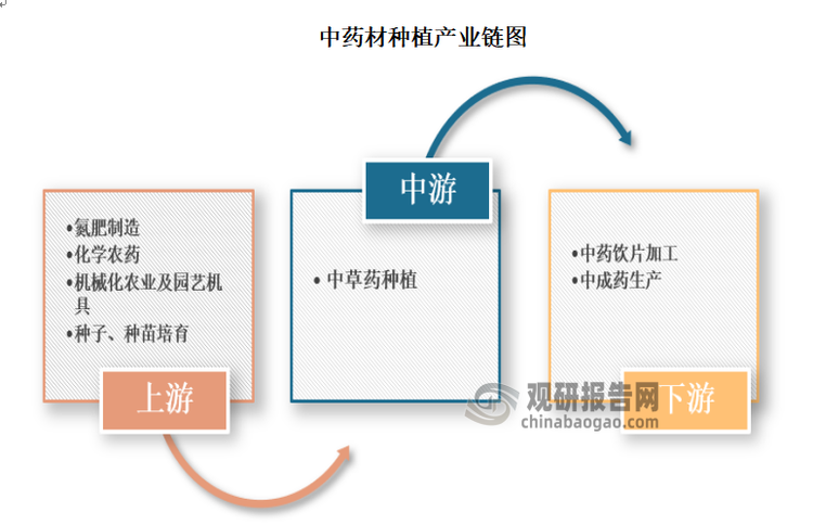 杜仲商标,其品牌价值和市场前景如何,未来发展潜力如何? 第3张 杜仲商标,其品牌价值和市场前景如何,未来发展潜力如何? 第3张