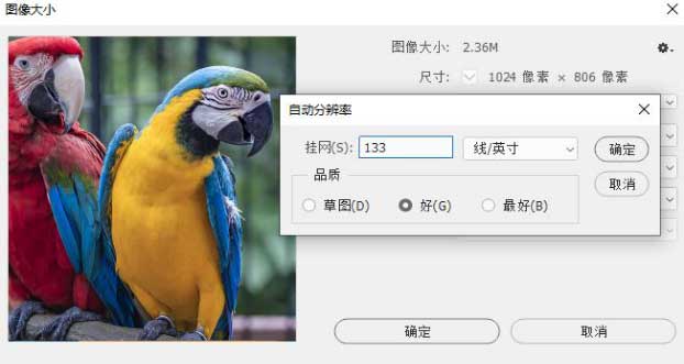 图片上的图像怎么识别大小?如何准确测量图片尺寸 第1张 图片上的图像怎么识别大小?如何准确测量图片尺寸 第1张