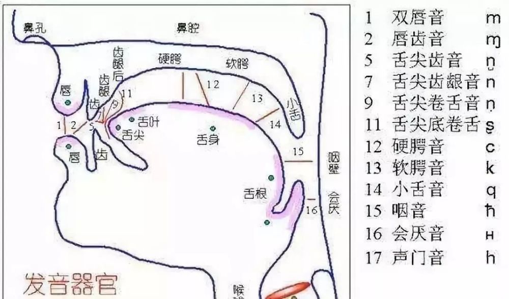 歌唱语言如何处理?声乐技巧中咬字吐字的规范 第2张 歌唱语言如何处理?声乐技巧中咬字吐字的规范 第2张