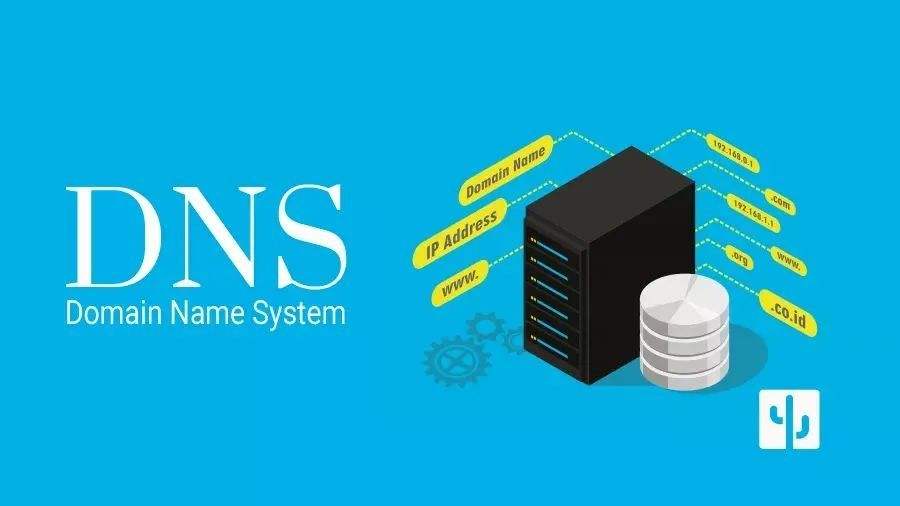 公司dns服务器 第1张 公司dns服务器 第1张