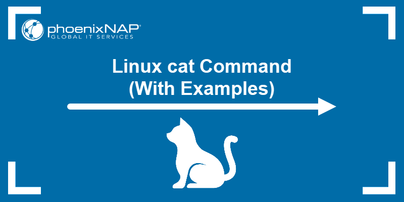 linux如何退出cat