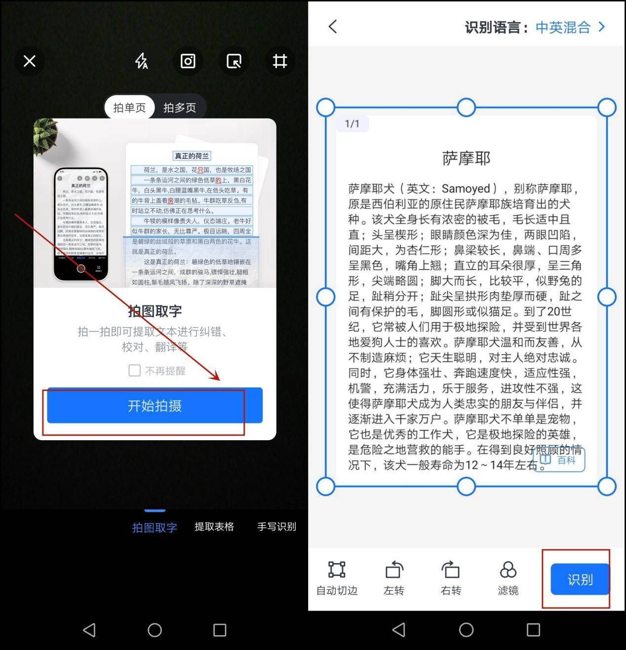 国际文字识别怎么操作? 第3张 国际文字识别怎么操作? 第3张