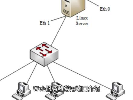 Web服务器端口设置时,为什么会有多种选择?如何确定最佳端口? 第3张 Web服务器端口设置时,为什么会有多种选择?如何确定最佳端口? 第3张
