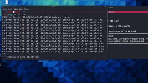 ping物理机kali 第1张 ping物理机kali 第1张