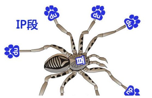 多ip服务器为什么百度只有一个ip,多ip服务器百度蜘蛛只抓取一个ip原因 第2张 多ip服务器为什么百度只有一个ip,多ip服务器百度蜘蛛只抓取一个ip原因 第2张