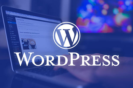 WordPress站点为何显示HTML?