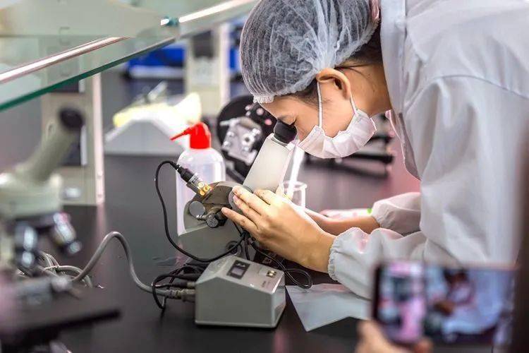 工业质检项目怎么做?工业质检项目有哪些核心技术与应用 第2张 工业质检项目怎么做?工业质检项目有哪些核心技术与应用 第2张