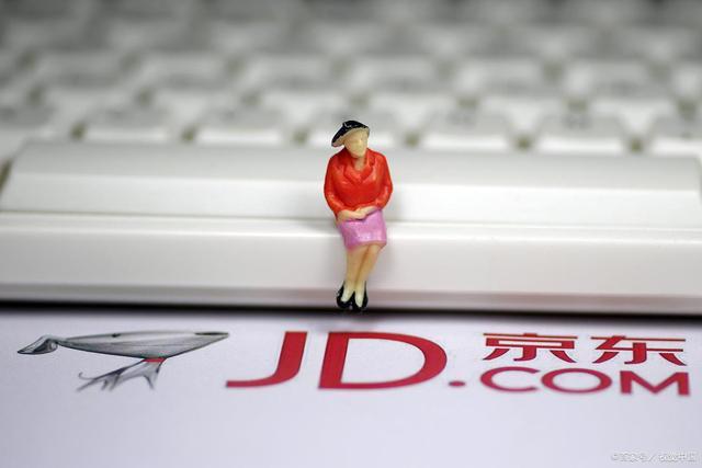 jd.com域名是什么?京东官网正确域名怎么输入? 第3张 jd.com域名是什么?京东官网正确域名怎么输入? 第3张