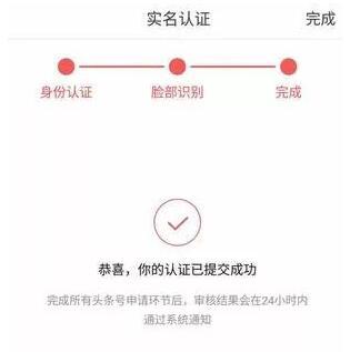 实名域名认证需要多长时间才能通过?如何快速通过审核流程 第2张 实名域名认证需要多长时间才能通过?如何快速通过审核流程 第2张