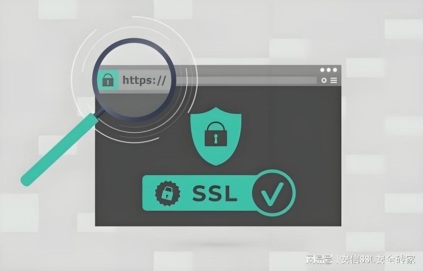 Geotrust SSL企业版多域名证书有哪些优势与使用疑问? 第1张 Geotrust SSL企业版多域名证书有哪些优势与使用疑问? 第1张