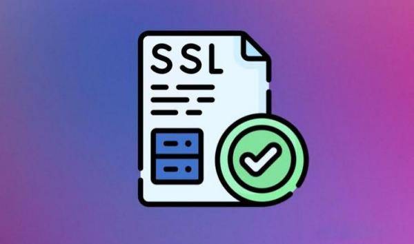 Geotrust SSL企业版多域名证书有哪些优势与使用疑问? 第2张 Geotrust SSL企业版多域名证书有哪些优势与使用疑问? 第2张