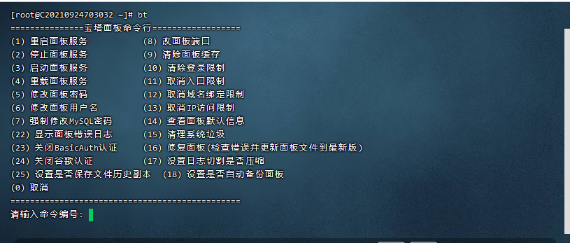 宝塔二代虚拟主机密码 第1张 宝塔二代虚拟主机密码 第1张